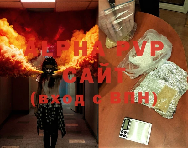 индика Балахна
