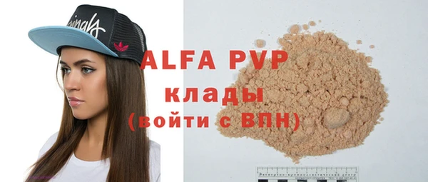 стаф Аркадак