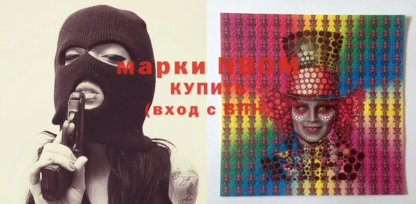 индика Балахна