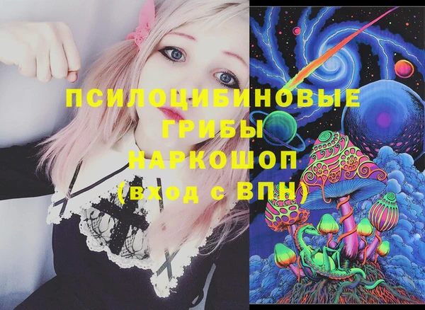 стаф Аркадак
