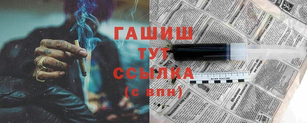стаф Аркадак