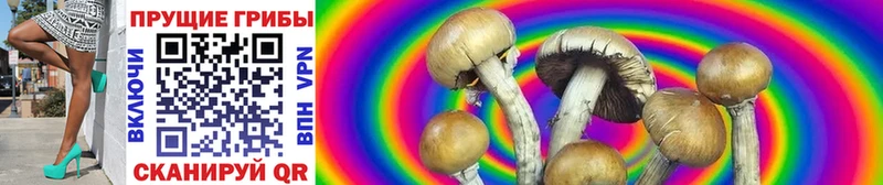 Псилоцибиновые грибы мицелий  Кубинка 